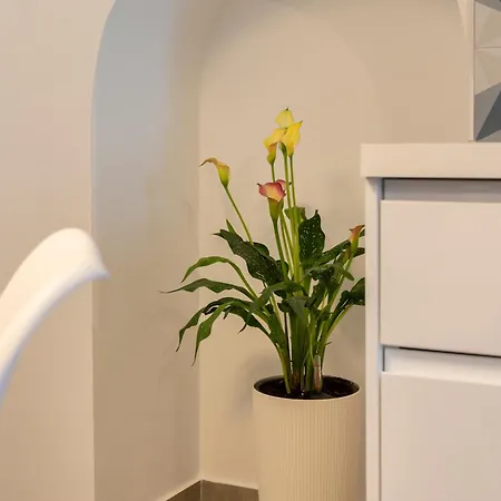 Victoria Seis Guest house Medina-Sidonia