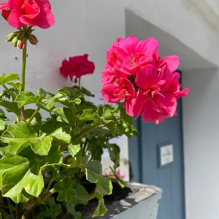 Victoria Seis Medina Sidonia